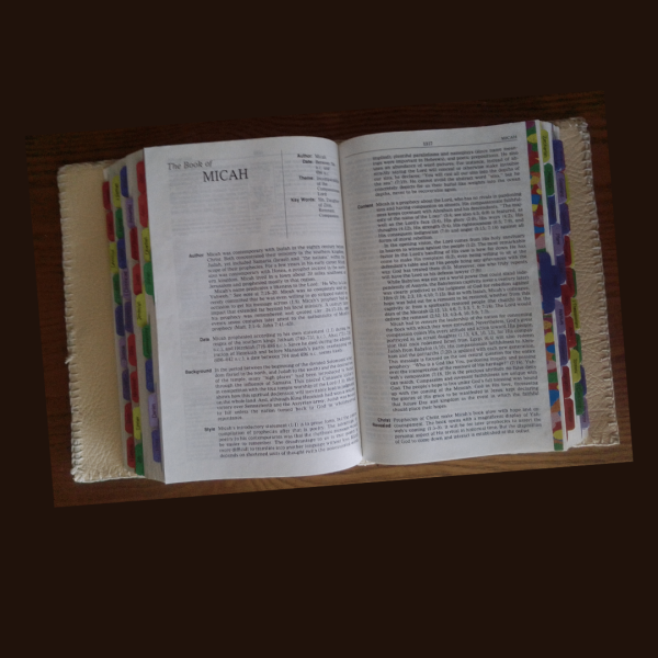 Rainbow-Bible-Tabs-Shop-Ads-3.png